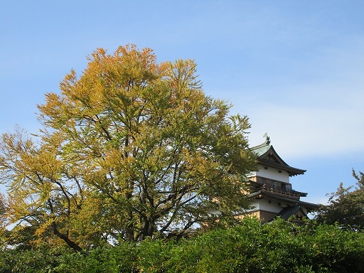 摜1